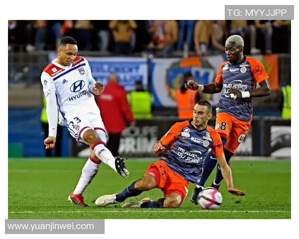 杭州足球队在杯赛积分榜上以61分稳居第一位置引发关注